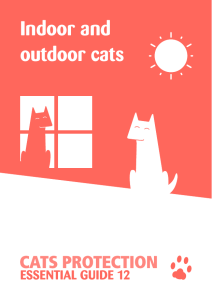 Indoor and outdoor cats