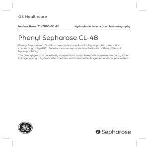 Phenyl Sepharose CL-4B