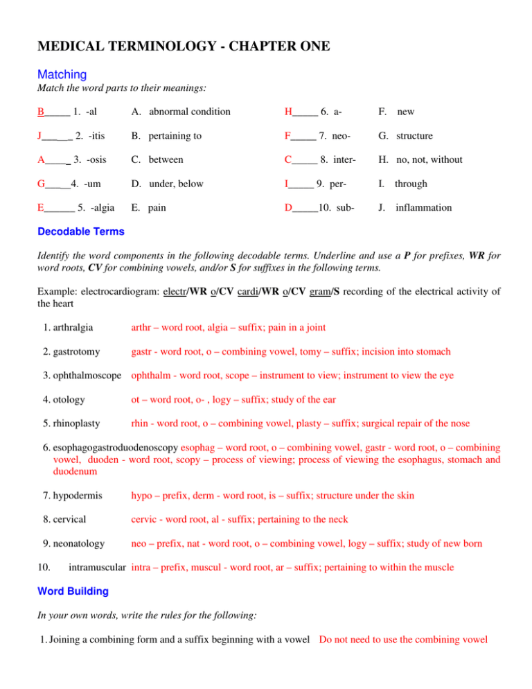 Introduction To Medical Terminology Chapter 1 Worksheet Answers