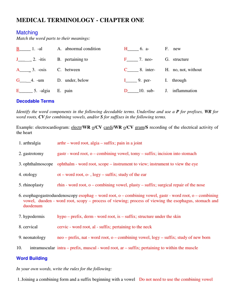medical terminology chapter one flashcards states and capitals printable of animals their homes