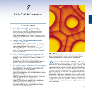 Chapter 7: Cell-Cell Interactions