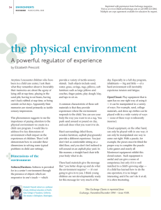 the physical environment