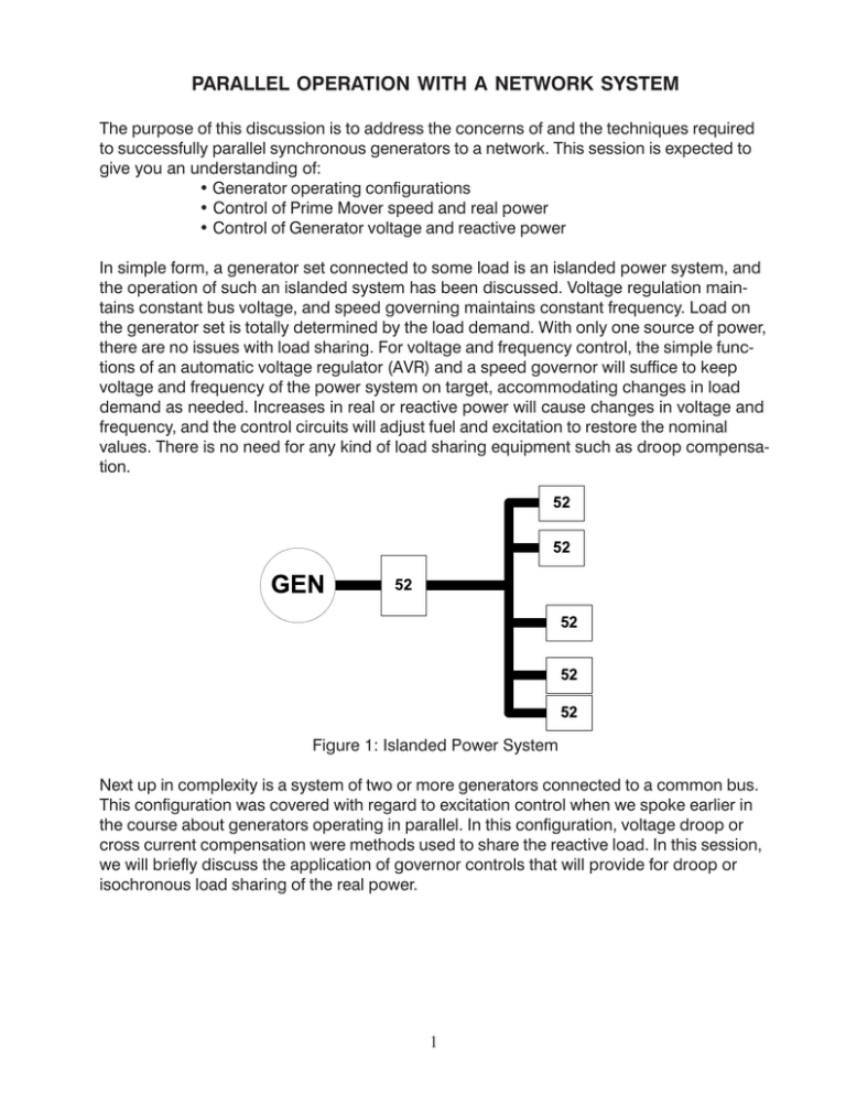 parallel operation with a network system