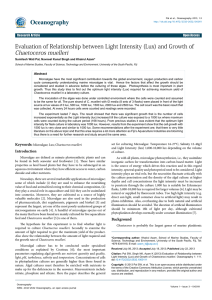Evaluation of Relationship between Light Intensity (Lux) and Growth