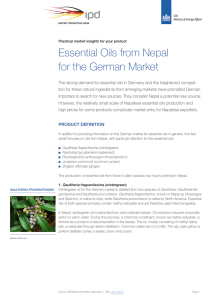 Essential Oils from Nepal for the German Market