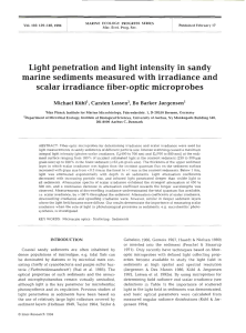 Light penetration and light intensity in sandy marine sediments