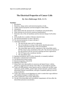 The Electrical Properties of Cancer Cells