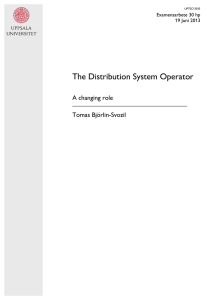 The Distribution System Operator