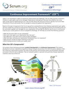 Continuous Improvement Framework™ (CIF