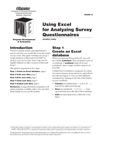 Using Excel for Analyzing Survey Questionnaires