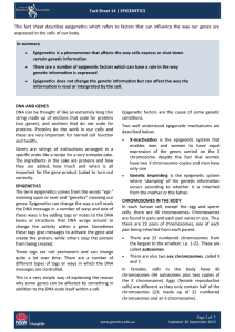 Fact Sheet 14 | EPIGENETICS This fact sheet describes epigenetics