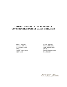 Liability Issues in the Defense of Construction