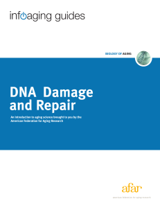 DNA Damage and Repair - American Federation for Aging Research