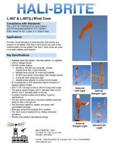 Wind Cone L-807 - Hali
