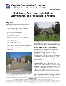 Sod Source Selection, Installation, Maintenance, and Producers in