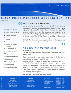 Welcome Black Pointers