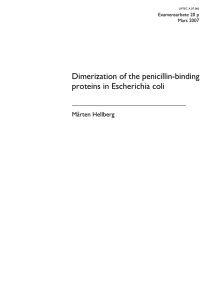 Dimerization of the penicillin-binding proteins in Escherichia coli