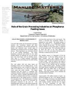 Role of the Grain Processing Industries on