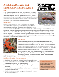 Amphibian Disease: Bsal North America Call to Action