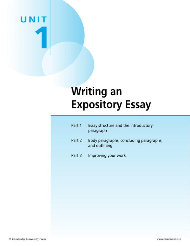 expository essay university