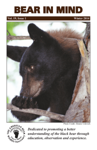 BEAR IN MIND - American Bear Association