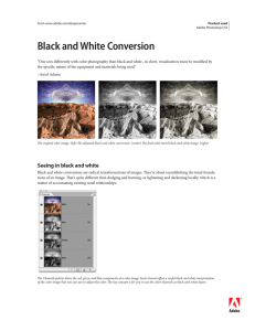 Black and White Conversion
