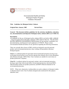 UTHSC-H BSC Guidance Document
