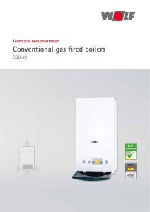 Conventional gas fired boilers