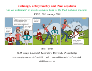 Exchange, antisymmetry and Pauli repulsion - TCM