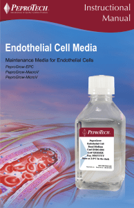 PeproGrow-Endothelial Cell Instructions Manual