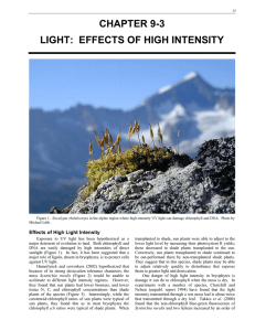 chapter 9-3 light: effects of high intensity