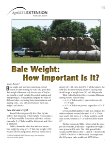 Bale Weight: How Important Is It?