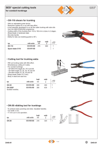 SES SES® special cutting tools - ses