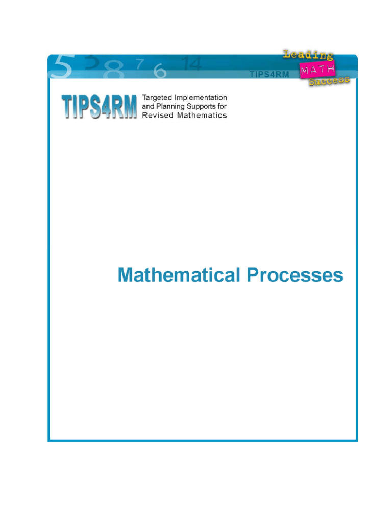 Mathematical Process Package