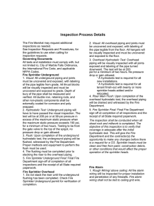 Inspection Process Details
