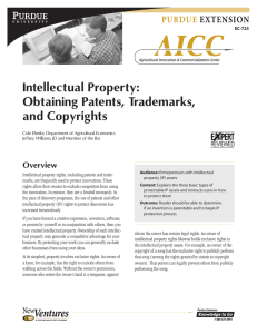 Intellectual Property: Obtaining Patents