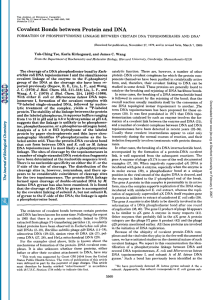 Covalent Bonds between Protein and DNA