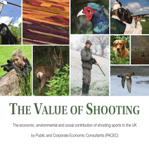 the The Value of Shooting report in PDF format