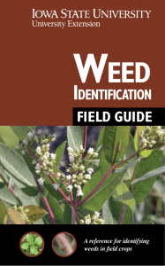 Field Guide - Iowa Soybean Association