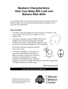 Newborn Characteristics: How Your Baby Will Look and Behave