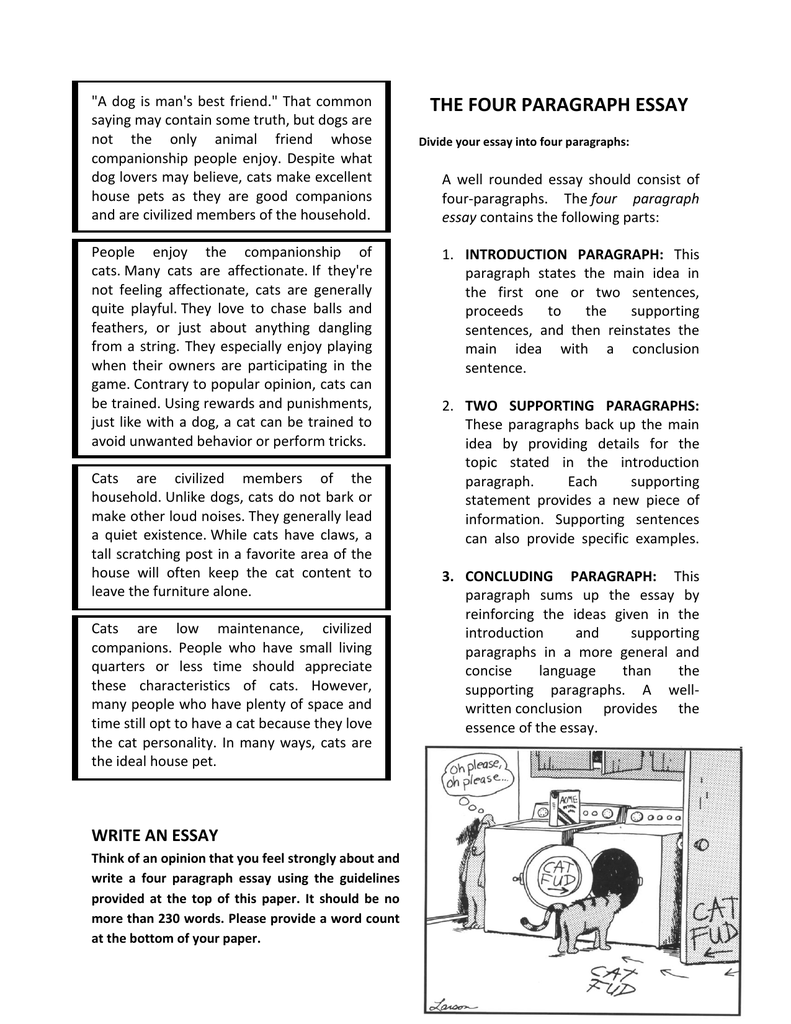 how many pages should a 4 paragraph essay be