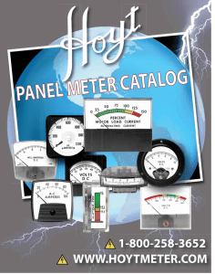 Hoyt Analog Panel Meter