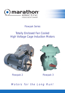 Totally Enclosed Fan Cooled High Voltage Cage Induction Motors