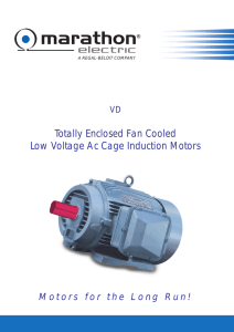 Totally Enclosed Fan Cooled Low Voltage Ac Cage Induction Motors