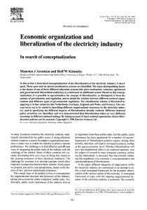 Economic organization and liberalization of the electricity industry