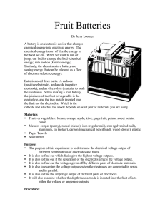 Fruit Batteries