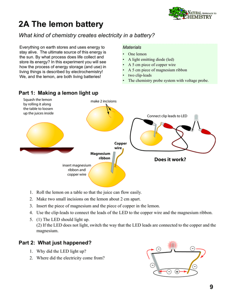 science project lemon battery hypothesis