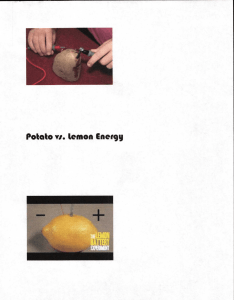 Potato vi. Lemon Energy