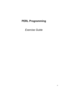 PERL Programming Exercise Guide