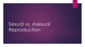 Sexual vs. Asexual Reproduction